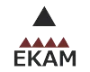 Ekam Ecity Logo